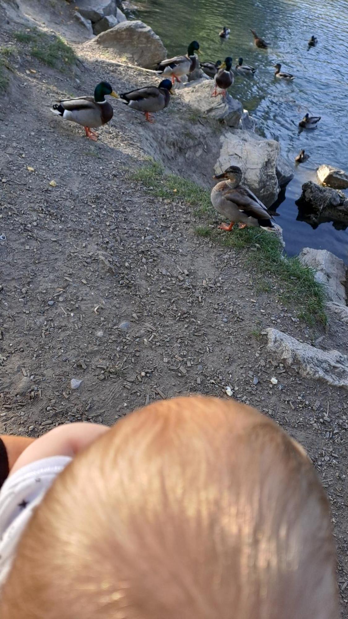 Vacances En Tout Tranquillite A Веркорин Экстерьер фото